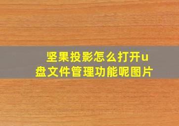 坚果投影怎么打开u盘文件管理功能呢图片