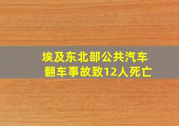 埃及东北部公共汽车翻车事故致12人死亡