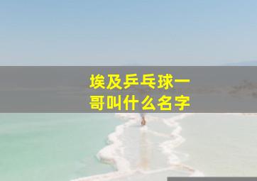 埃及乒乓球一哥叫什么名字