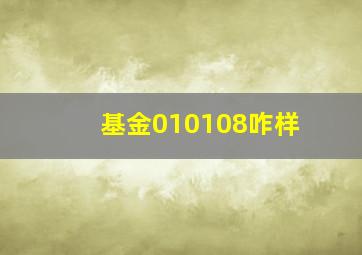 基金010108咋样