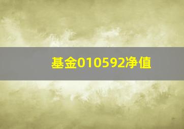 基金010592净值