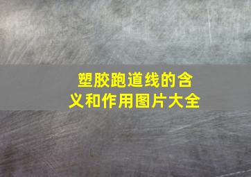 塑胶跑道线的含义和作用图片大全