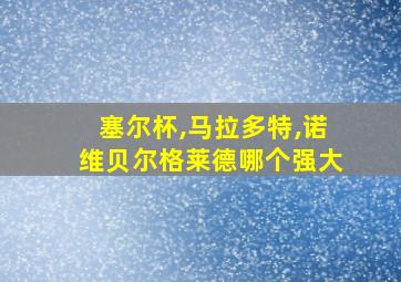 塞尔杯,马拉多特,诺维贝尔格莱德哪个强大