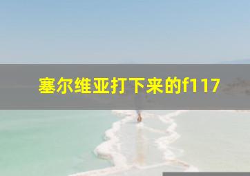 塞尔维亚打下来的f117