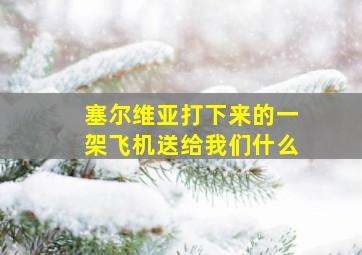 塞尔维亚打下来的一架飞机送给我们什么