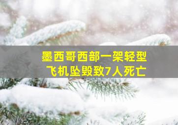 墨西哥西部一架轻型飞机坠毁致7人死亡