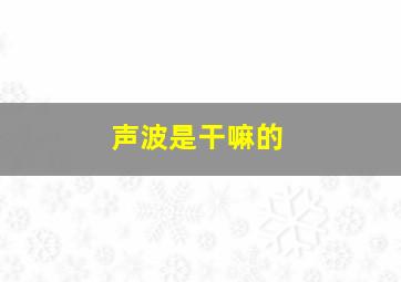 声波是干嘛的