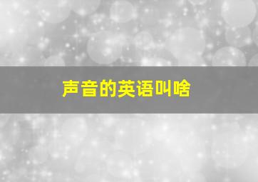 声音的英语叫啥