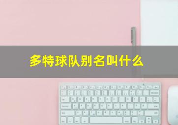 多特球队别名叫什么