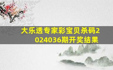 大乐透专家彩宝贝杀码2024036期开奖结果