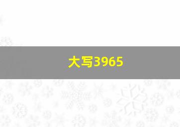 大写3965