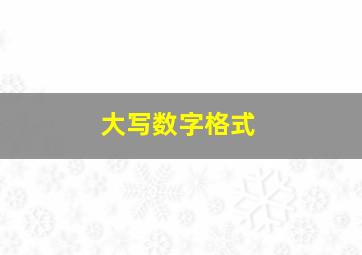 大写数字格式