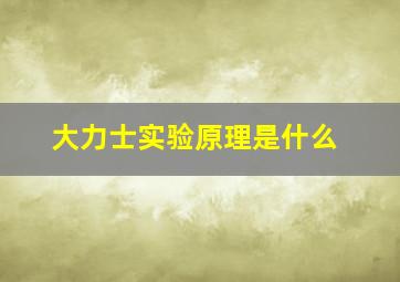 大力士实验原理是什么