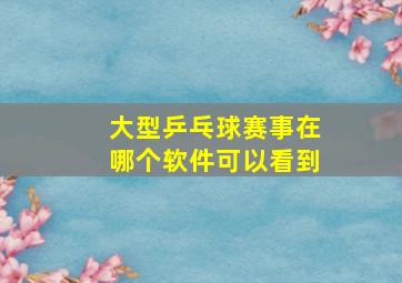 大型乒乓球赛事在哪个软件可以看到