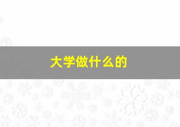 大学做什么的