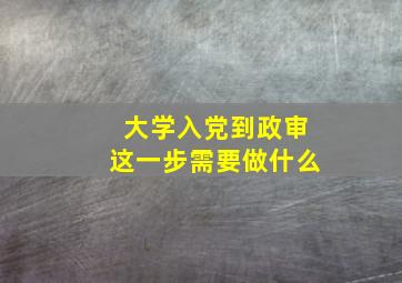 大学入党到政审这一步需要做什么