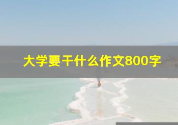 大学要干什么作文800字