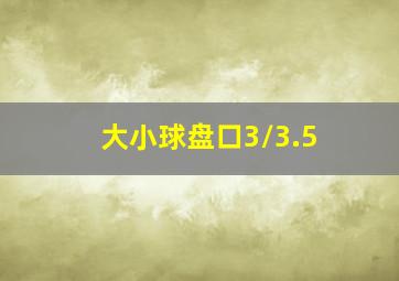 大小球盘口3/3.5