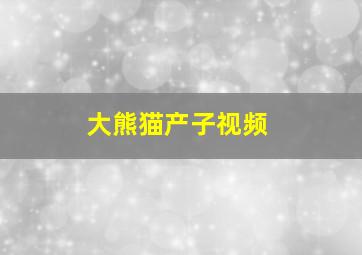 大熊猫产子视频