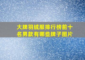 大牌羽绒服排行榜前十名男款有哪些牌子图片