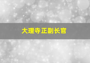 大理寺正副长官