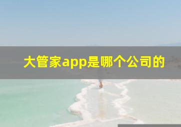 大管家app是哪个公司的