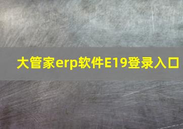 大管家erp软件E19登录入口