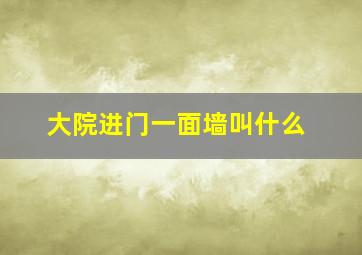 大院进门一面墙叫什么