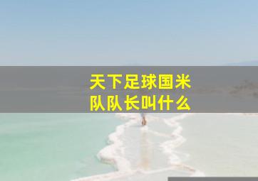 天下足球国米队队长叫什么