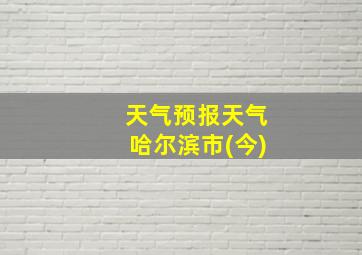 天气预报天气哈尔滨市(今)