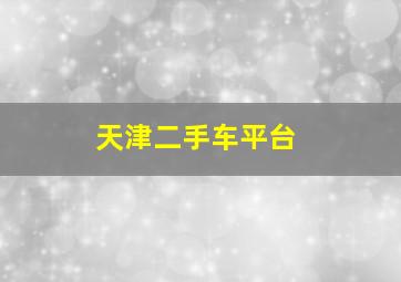 天津二手车平台