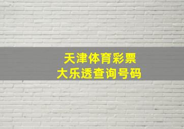 天津体育彩票大乐透查询号码