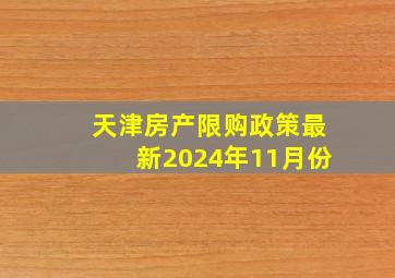 天津房产限购政策最新2024年11月份