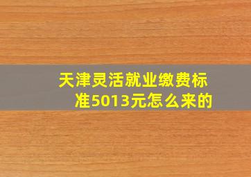 天津灵活就业缴费标准5013元怎么来的