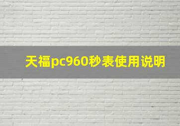 天福pc960秒表使用说明