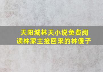 天阳城林天小说免费阅读林家主捡回来的林傻子