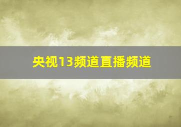 央视13频道直播频道