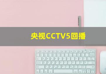 央视CCTV5回播