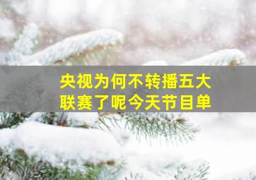 央视为何不转播五大联赛了呢今天节目单