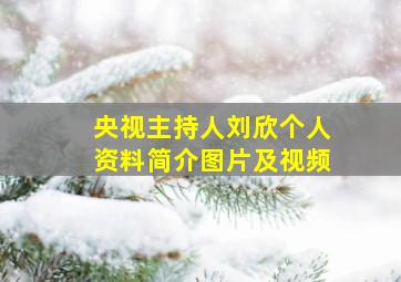 央视主持人刘欣个人资料简介图片及视频