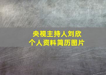 央视主持人刘欣个人资料简历图片