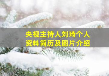 央视主持人刘琦个人资料简历及图片介绍