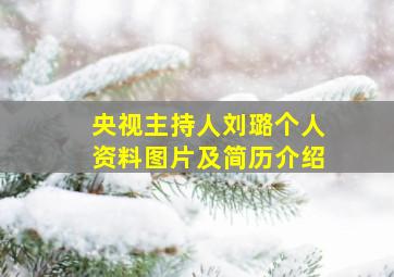 央视主持人刘璐个人资料图片及简历介绍