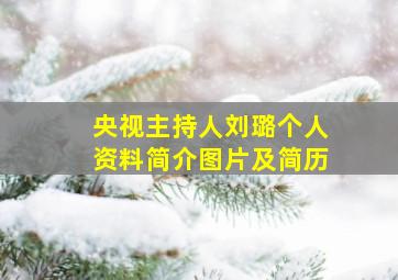 央视主持人刘璐个人资料简介图片及简历