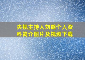 央视主持人刘璐个人资料简介图片及视频下载