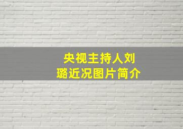 央视主持人刘璐近况图片简介