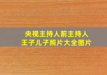 央视主持人前主持人王子儿子照片大全图片