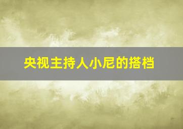 央视主持人小尼的搭档