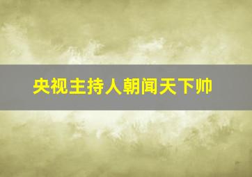 央视主持人朝闻天下帅