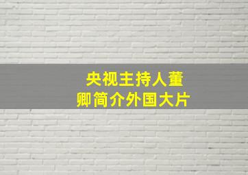 央视主持人董卿简介外国大片